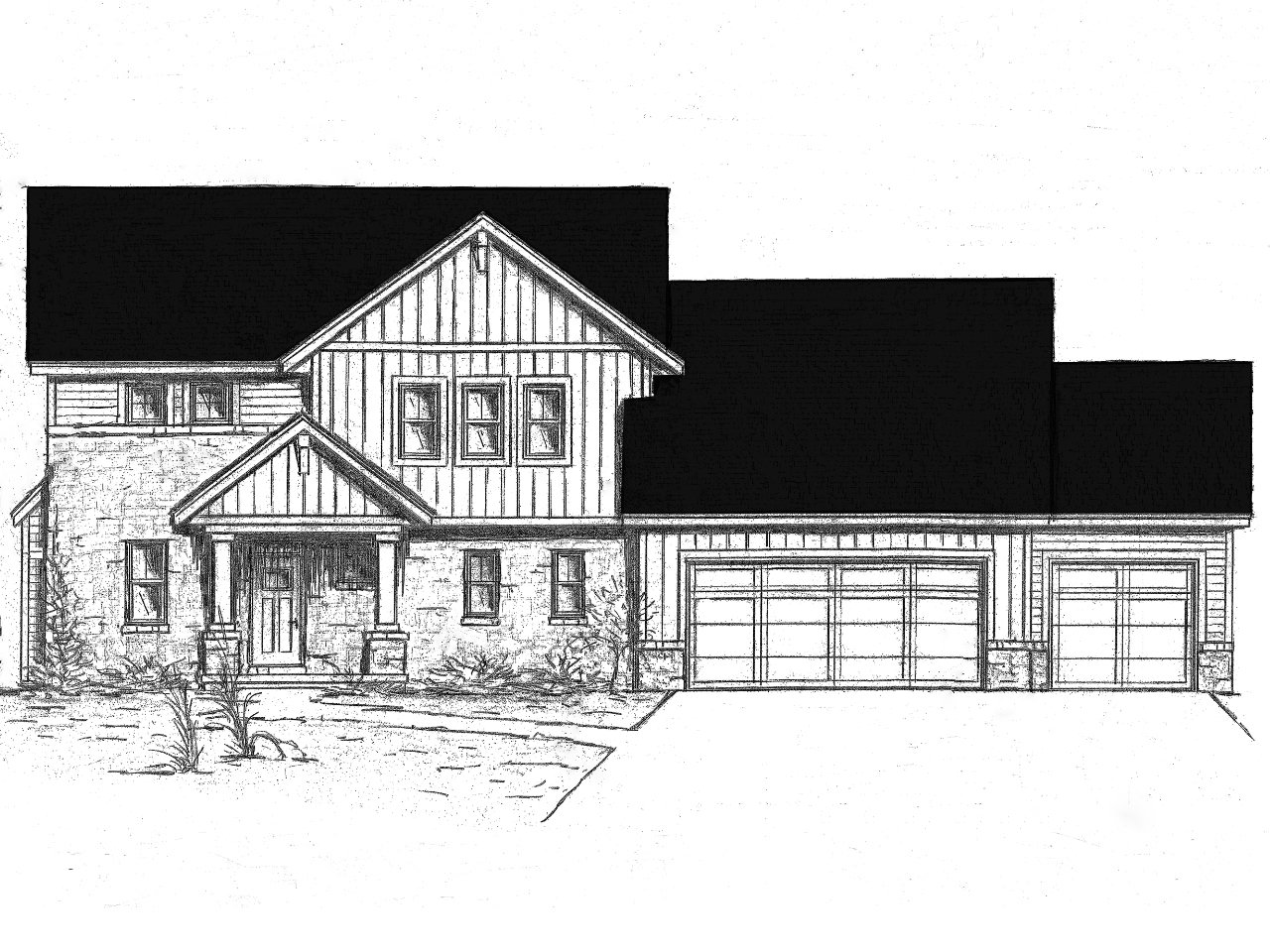 Cottonwood on Hegner Farm