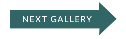 Next Gallery